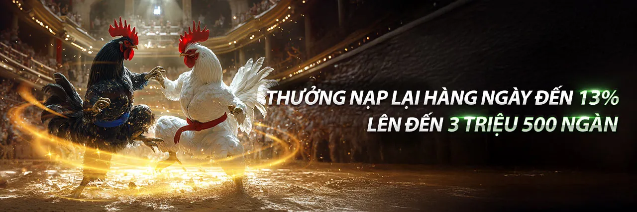 Banner tổng hợp các khuyến mãi hấp dẫn từ Nhatvip